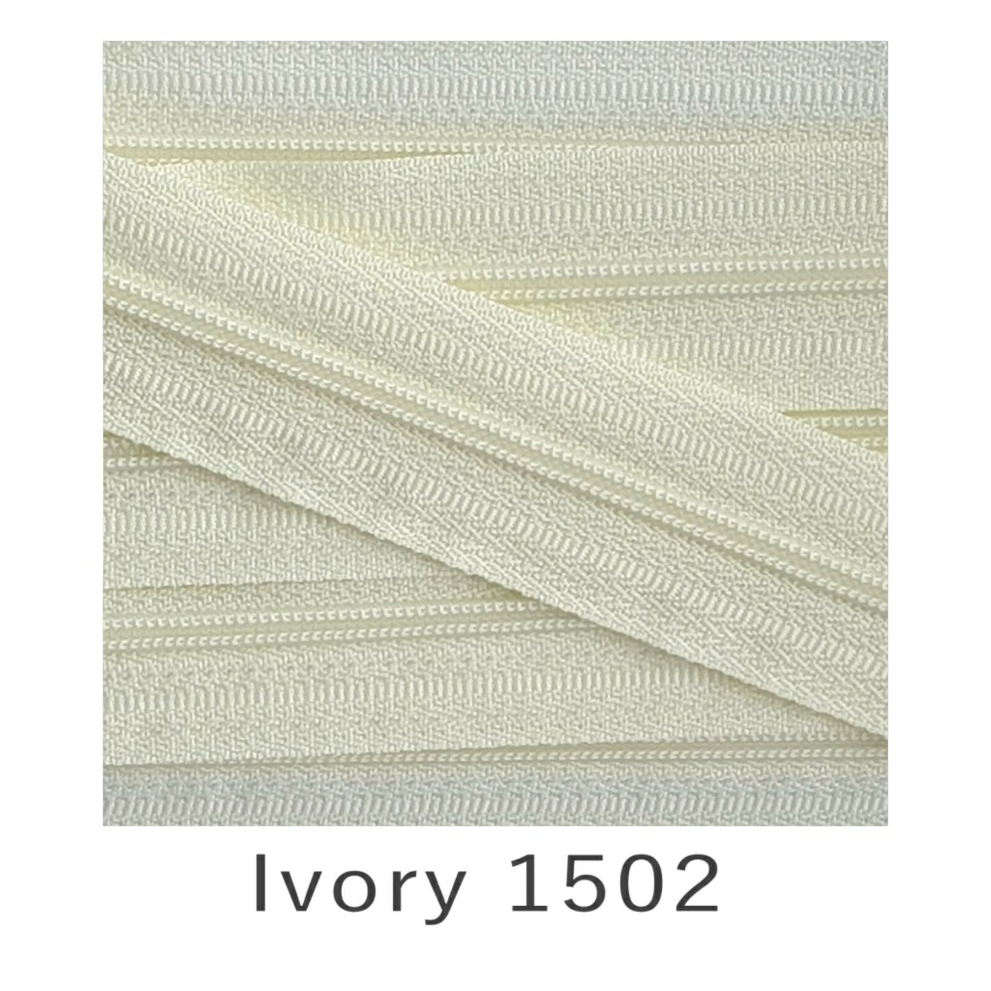 No.3 Continuous Zip Tape Ivory 1502
