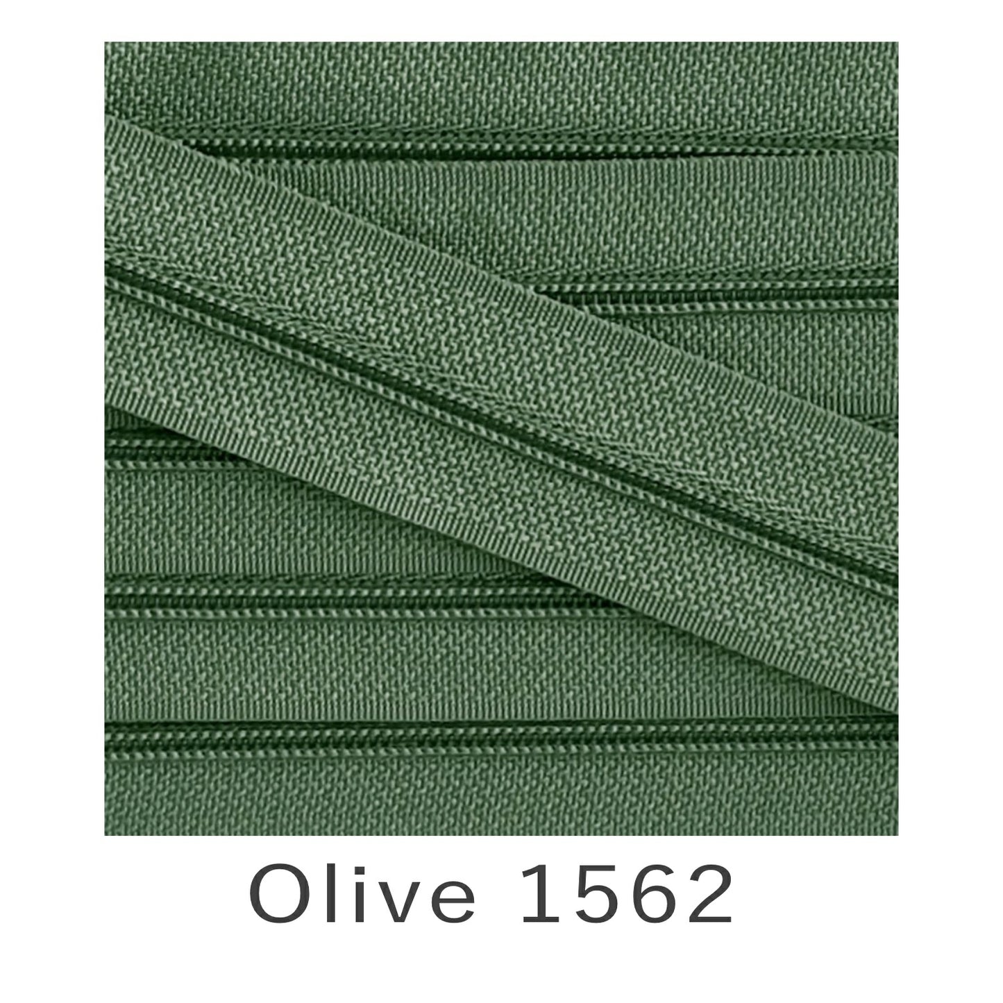 No.3 Continuous Zip Tape Olive 1562