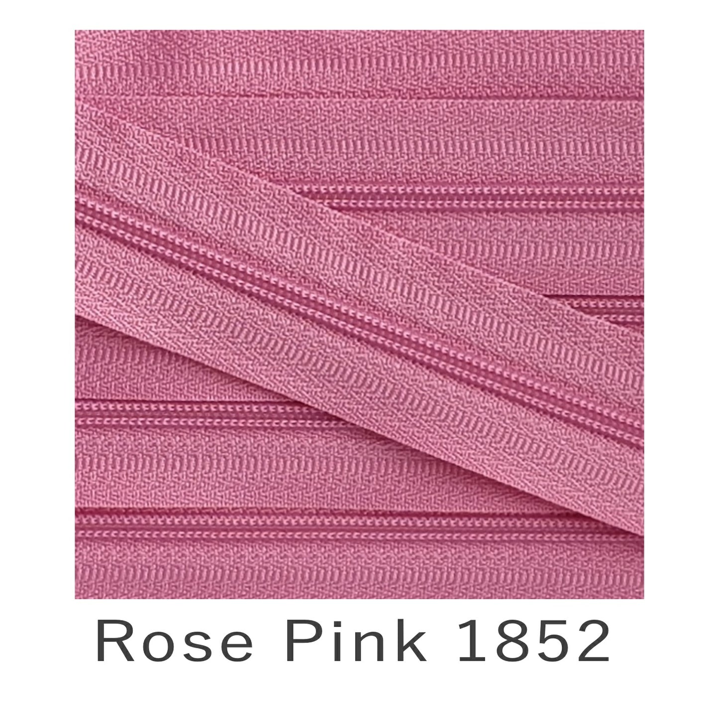 No.3 Continuous Zip Tape Rose Pink 1852
