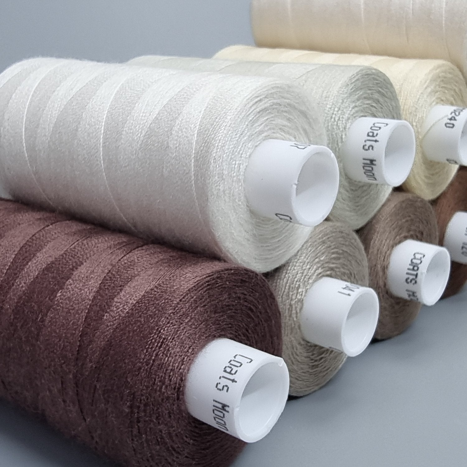 Moon Thread Spools Cream and Brown Shades