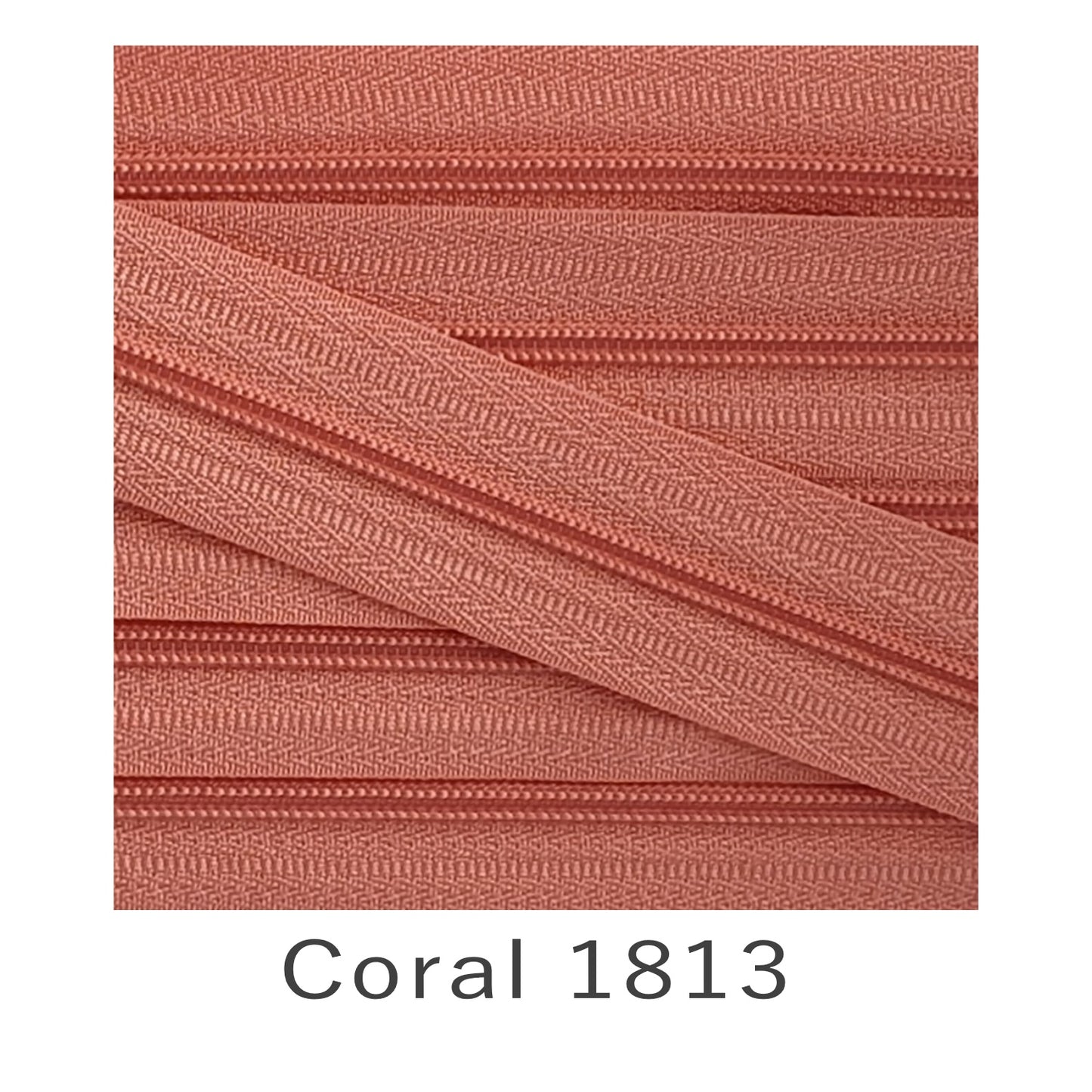 No.3 Continuous Zip Tape Coral 1813